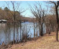 Turkey Hunting Moro Bay State Park 117 acres in Bradley, AR images 4
