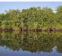 Turkey Hunting Moro Bay State Park 117 acres in Bradley, AR images 6