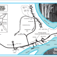 Turkey Hunting Moro Bay State Park 117 acres in Bradley, AR