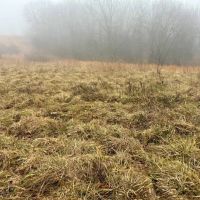 100 ACRES Corners Brill Macks Creek Hayfields Pastures Hunting Ground Douglas County images 2