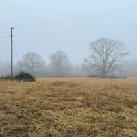 100 ACRES Corners Brill Macks Creek Hayfields Pastures Hunting Ground Douglas County images 3