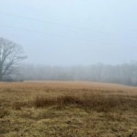 100 ACRES Corners Brill Macks Creek Hayfields Pastures Hunting Ground Douglas County images 4