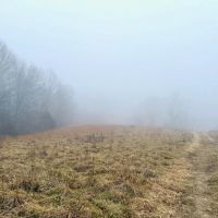 100 ACRES Corners Brill Macks Creek Hayfields Pastures Hunting Ground Douglas County images 5