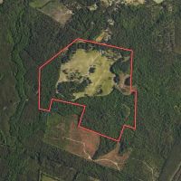 193 acres Residential Farmland For Sale in Harnett County NC