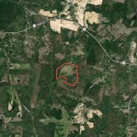193 acres Residential Farmland For Sale in Harnett County NC images 5
