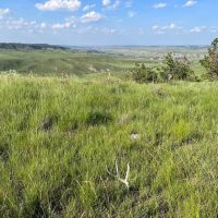 Judith Breaks Ranch images 2
