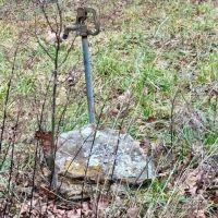 229.9 Acres Timber Pasture Electric Drilled Well Hay Barn Douglas County images 5