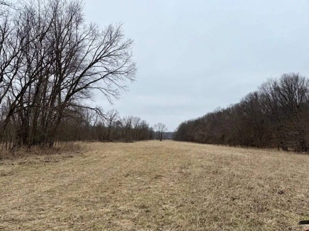 66 Acres Bottom Ground Fenced Electric running on Property Douglas County featured image