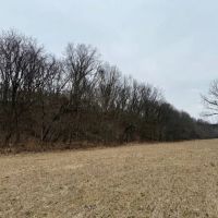 66 Acres Bottom Ground Fenced Electric running on Property Douglas County images 5