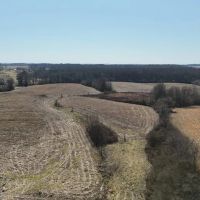 Cullman County AL Mini-Farm Lot 1 images 2
