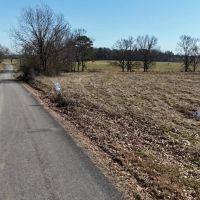 Cullman County AL Mini-Farm Lot 1 images 4