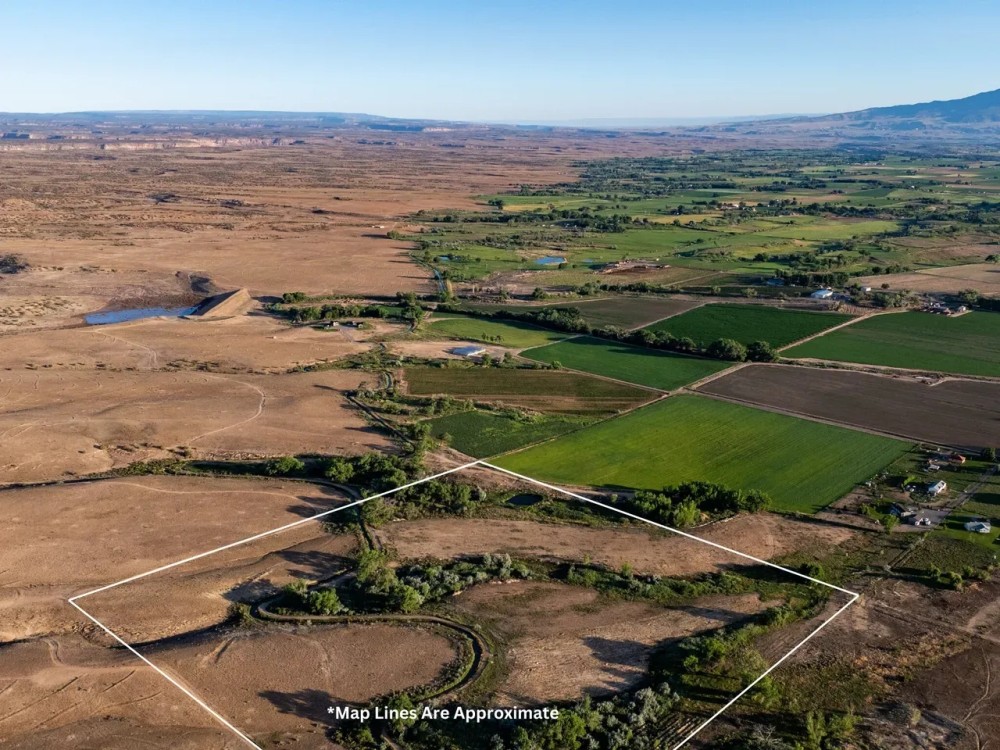 Berkeley Estates Vacant Land for Country Home for Sale featured image