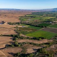 Berkeley Estates Vacant Land for Country Home for Sale images 3