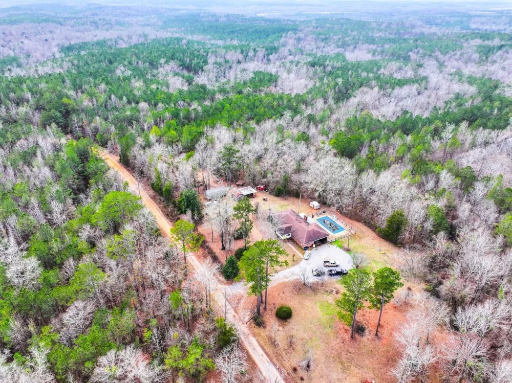100 Acres In Wilcox County featured image