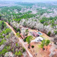 100 Acres In Wilcox County