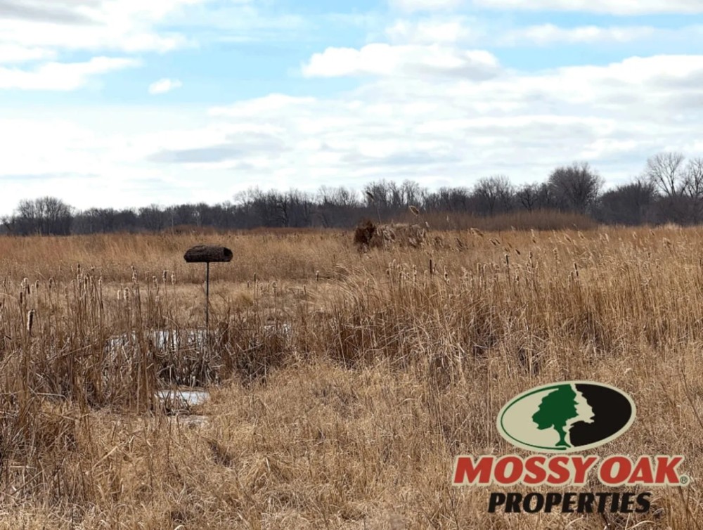 127 - Kankakee River Frontage Starke County Majority WRE Land Land For Sale featured image