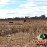 127 - Kankakee River Frontage Starke County Majority WRE Land Land For Sale