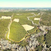 244 Acres of Premier Big Game Hunting Property For Sale in Sussex County VA images 2