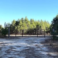 244 Acres of Premier Big Game Hunting Property For Sale in Sussex County VA images 3