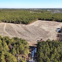 244 Acres of Premier Big Game Hunting Property For Sale in Sussex County VA images 5