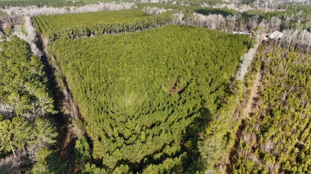 62-AC Hunting Investment Property - A Sportsman s Dream featured image