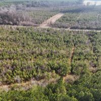 62-AC Hunting Investment Property - A Sportsman s Dream images 3
