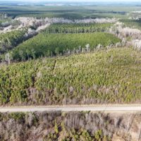 62-AC Hunting Investment Property - A Sportsman s Dream images 4