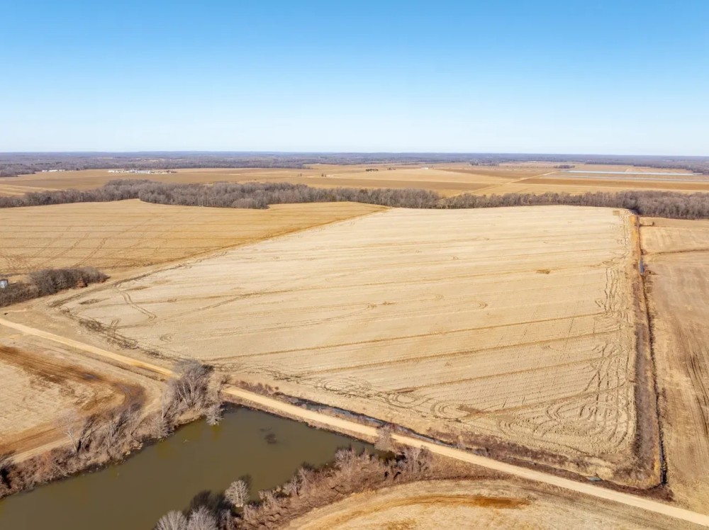 95 - Acres Row Crop Success Arkansas Clay County featured image