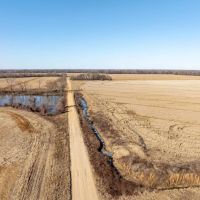 95 - Acres Row Crop Success Arkansas Clay County images 2
