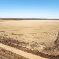 95 - Acres Row Crop Success Arkansas Clay County images 3