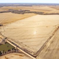 95 - Acres Row Crop Success Arkansas Clay County images 5