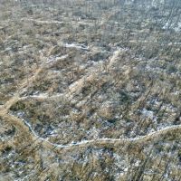 Marion Co 40 acres - images 3