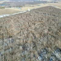 Marion Co 40 acres - images 4