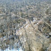 Marion Co 40 acres - images 5