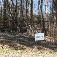 Cullman County AL Mini-Farm Lot 6 images 2