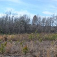 Stuckey Lane South images 3