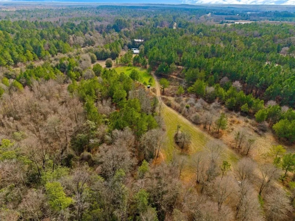 Plantation Road Farm featured image