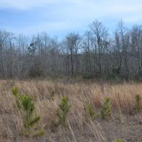 Stuckey Lane North images 3
