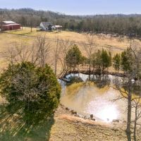 Tennessee Classic Cattle Farm images 2