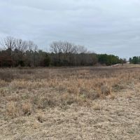 20-Acre Hunter s Paradise in Southeastern Oklahoma-Prime location Utilities Ready images 3