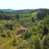 Waushara County 367 Timber Hunting Tract images 3