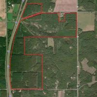Waushara County 367 Timber Hunting Tract images 4