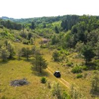 Waushara County 367 Timber Hunting Tract images 5