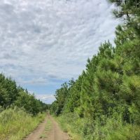 667 Acres Theuvenins Creek images 2