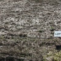 Cullman County AL Mini-Farm Lot 2 images 3
