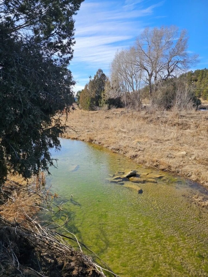 25 River Ranch Long Canyon featured image