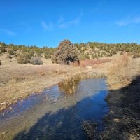 25 River Ranch Long Canyon images 4