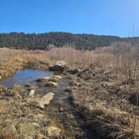 25 River Ranch Long Canyon images 5