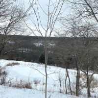 6 acres Off-Grid Recreational Property with Pond and Views in Andover NY 1868 Hess Rd images 3