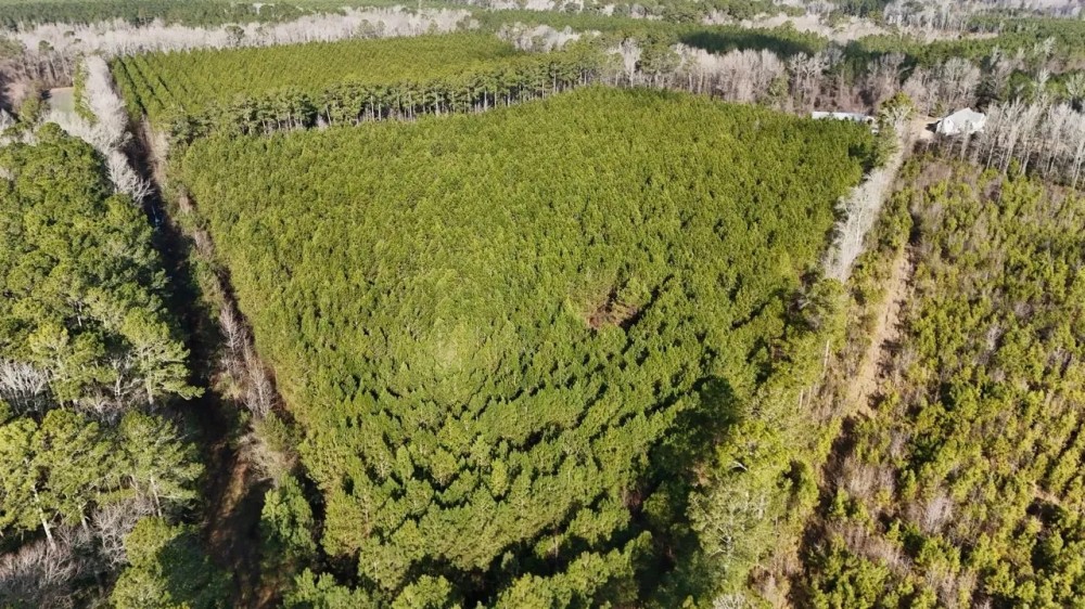 62-AC Hunting Investment Property - A Sportsman s Dream featured image